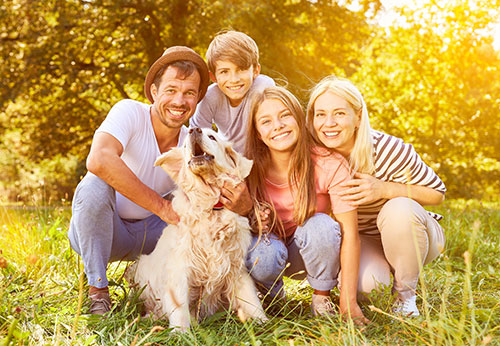 Family Lawyer Broward County Florida